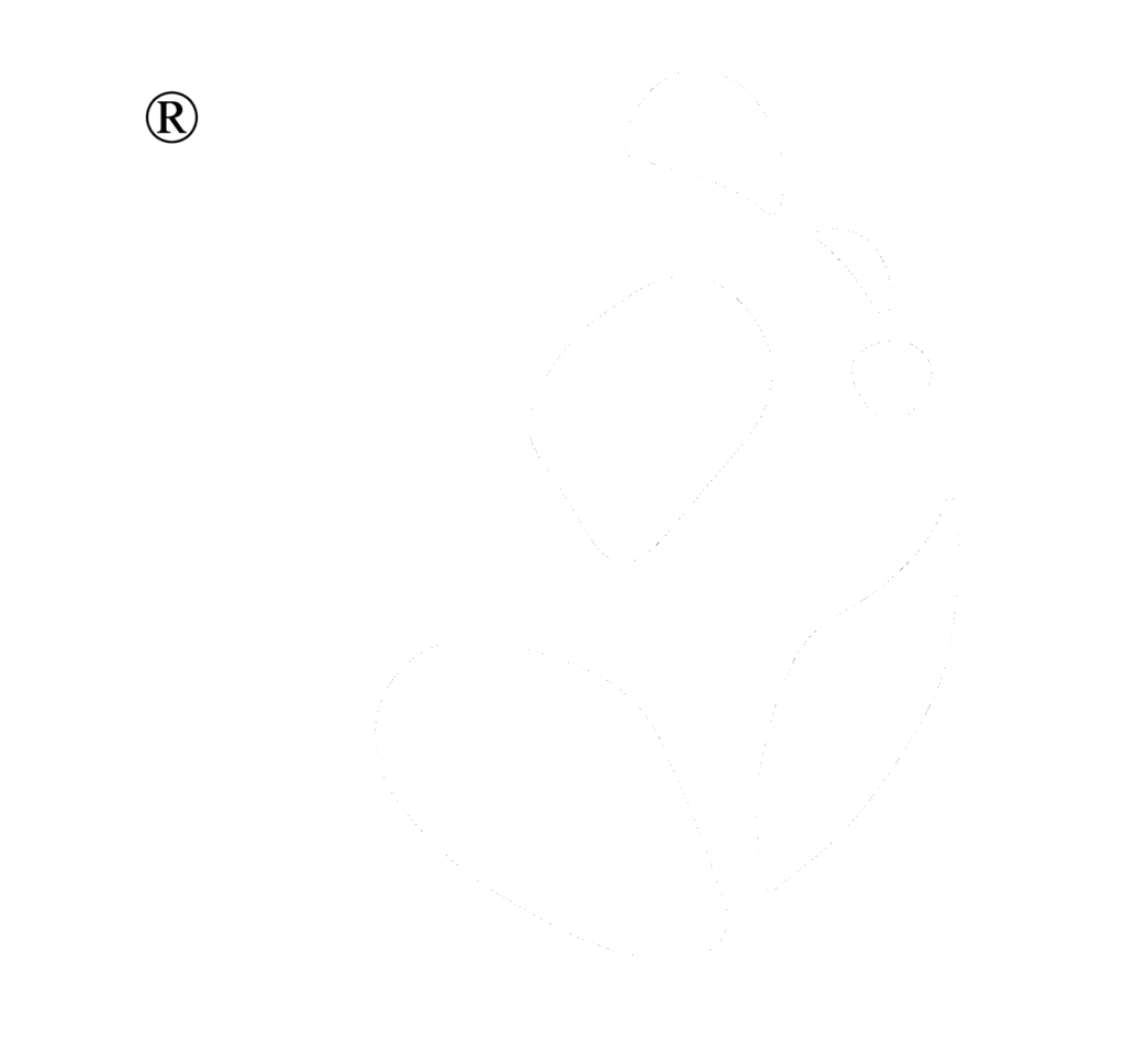 panda blanc simplifie fond blanc